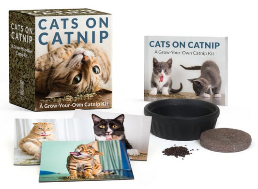 RP Minis: Cats on Catnip - A Grow-Your-Own Catnip Kit