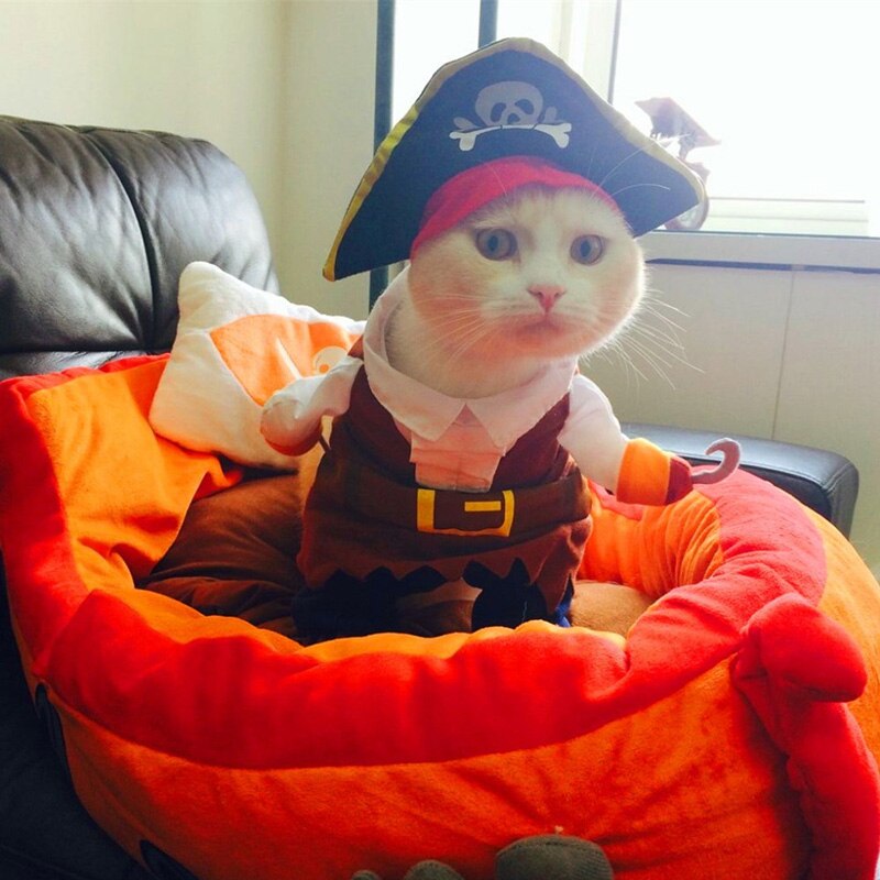Cute Halloween Cat Pirate Costumes