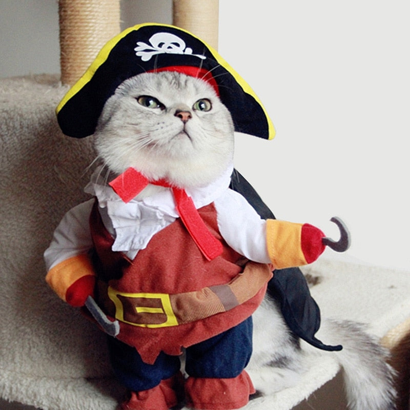 Cute Halloween Cat Pirate Costumes