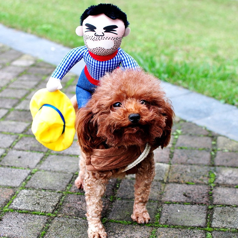 Halloween Dog Costumes for Dogs Funny French