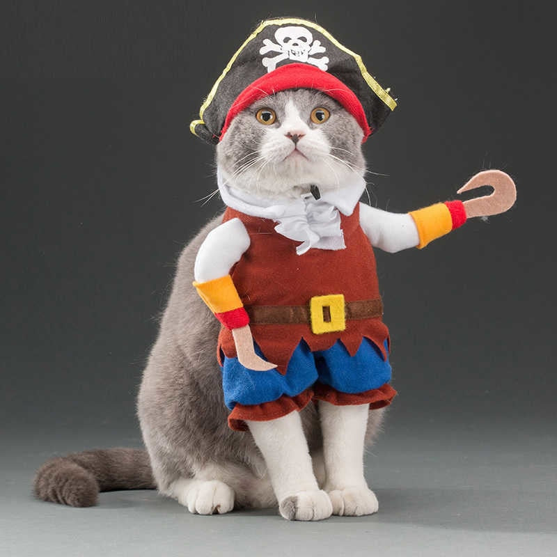 Funny cats and dogs costumes