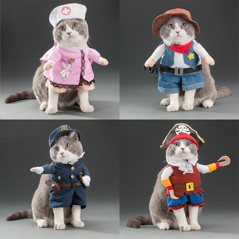 Funny cats and dogs costumes