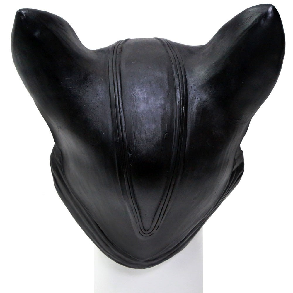 Woman Sexy Cat Selina Kyle Mask Bruce
