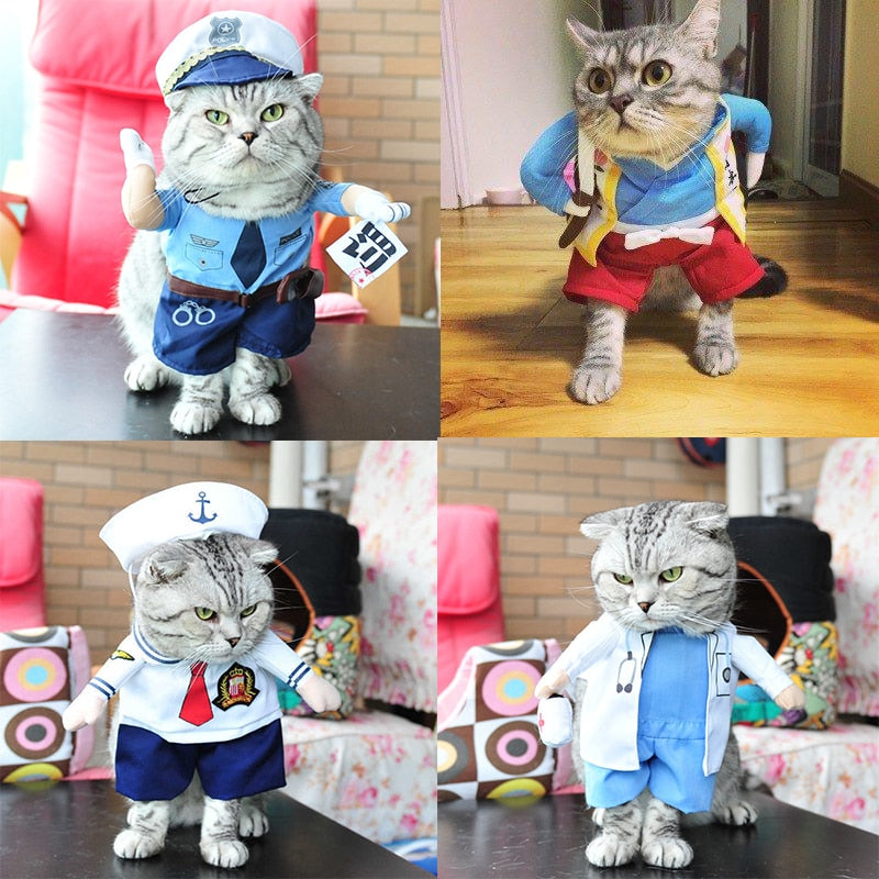 Funny cats and dogs costumes