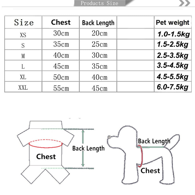 Dinosaur Cloth Set For Small Puppy