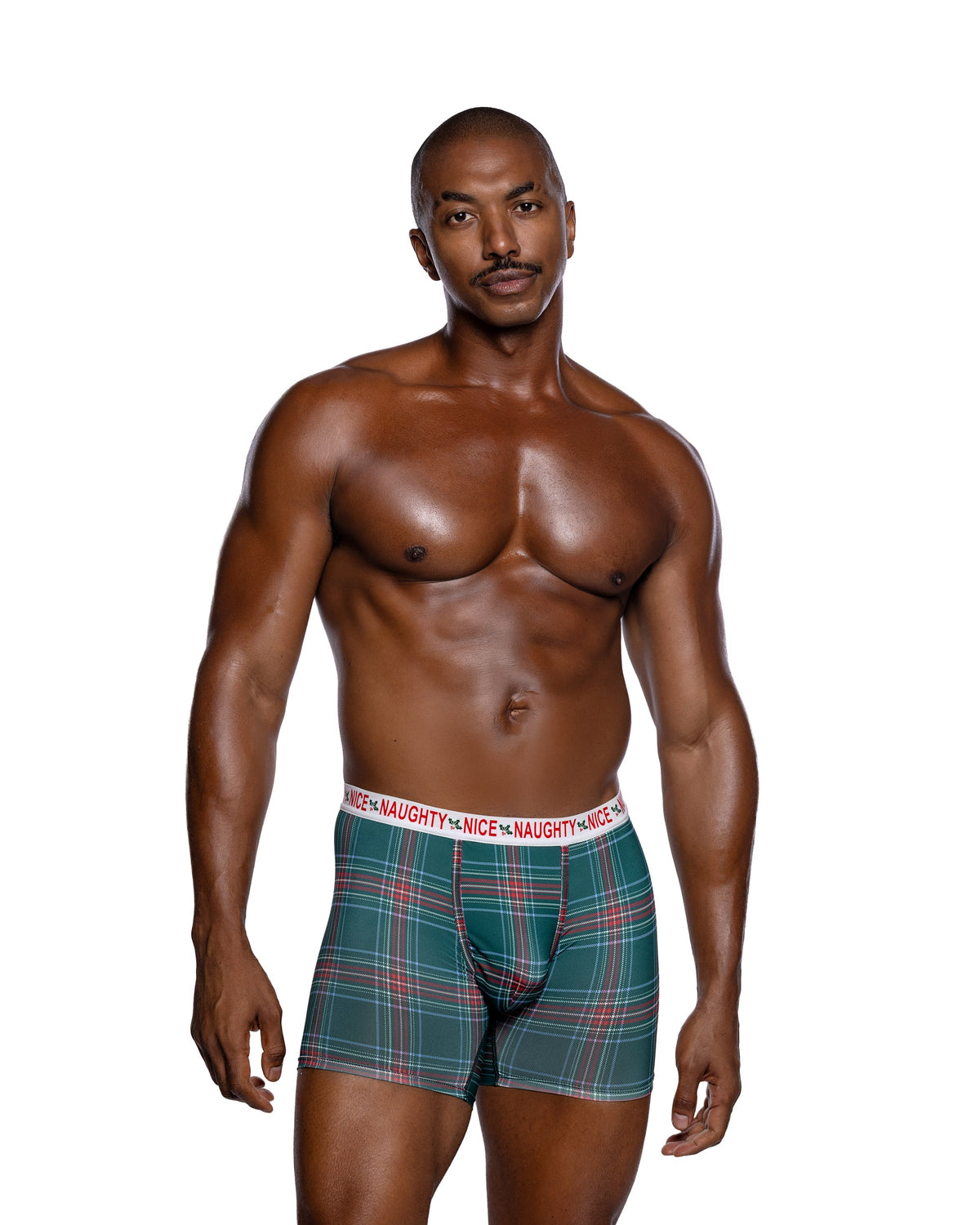 Naughty & Nice Men's Plaid Modal Boxer Briefs - Christmas Gift