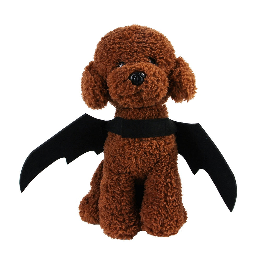 Fashion Cat Clothes Bat Wings