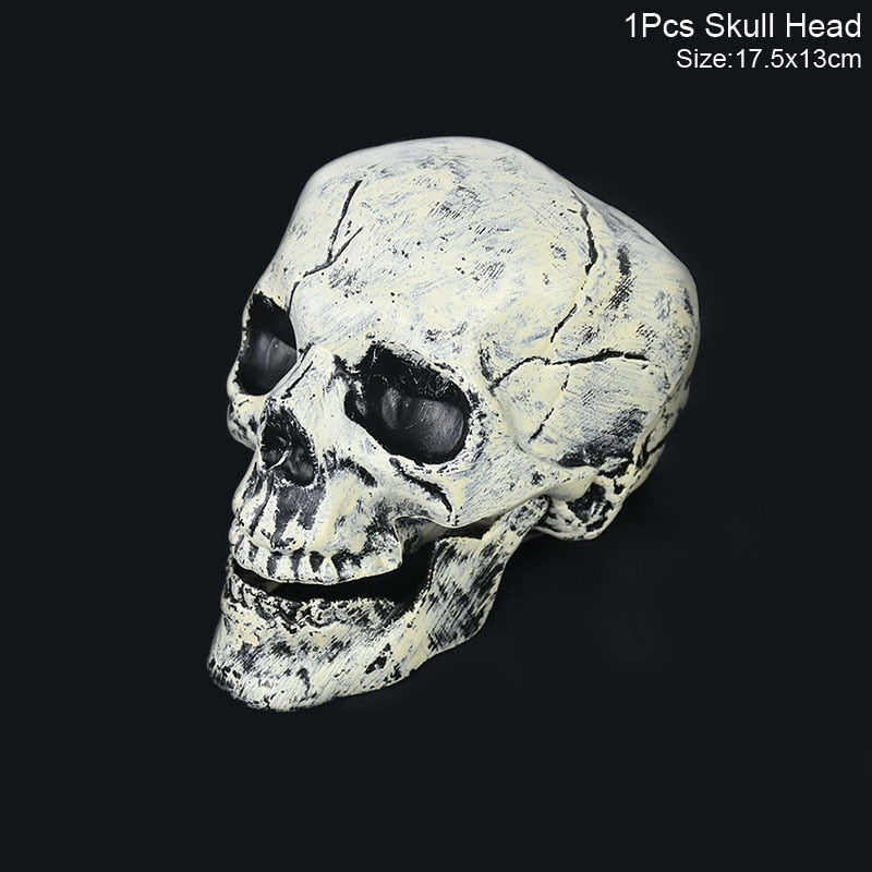 Halloween Realistic Skull Skeleton
