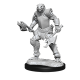 D&D: Nolzur's Marvelous Miniatures - Dragonborn Fighter Female