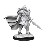 D&D: Nolzur's Marvelous Miniatures - Dragonborn Fighter Female