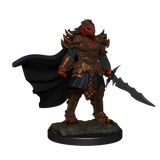 D&D: Nolzur's Marvelous Miniatures - Dragonborn Fighter Female