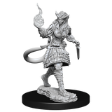 D&D: Nolzur's Marvelous Miniatures - Tiefling Sorcerer Female