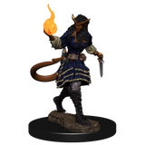 D&D: Nolzur's Marvelous Miniatures - Tiefling Sorcerer Female