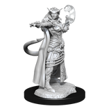 D&D: Nolzur's Marvelous Miniatures - Tiefling Sorcerer Female