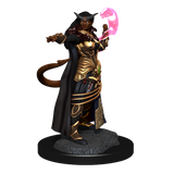 D&D: Nolzur's Marvelous Miniatures - Tiefling Sorcerer Female