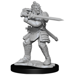 D&D: Nolzur's Marvelous Miniatures - Hobgoblin Fighter Male & Hobgoblin Wizard Female