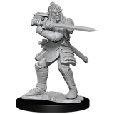 D&D: Nolzur's Marvelous Miniatures - Hobgoblin Fighter Male & Hobgoblin Wizard Female
