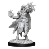 D&D: Nolzur's Marvelous Miniatures - Hobgoblin Fighter Male & Hobgoblin Wizard Female