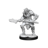 D&D: Nolzur's Marvelous Miniatures - Bugbear Barbarian Male & Bugbear Rogue Female