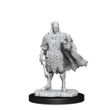D&D: Nolzur's Marvelous Miniatures - Autumn Eladrin & Summer Eladrin