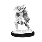 D&D: Nolzur's Marvelous Miniatures - Winter Eladrin & Spring Eladrin