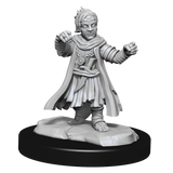 Pathfinder: Deep Cuts - Halfing Monk Male