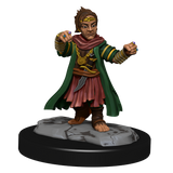 Pathfinder: Deep Cuts - Halfing Monk Male