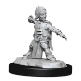Pathfinder: Deep Cuts - Halfing Monk Male