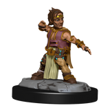 Pathfinder: Deep Cuts - Halfing Monk Male
