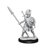 D&D: Frameworks - Human Fighter Female