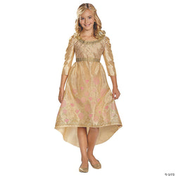 Disney Princess Sleeping Beauty Aurora Coronation Gown Girls Halloween Costume - Large