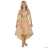 Disney Princess Sleeping Beauty Aurora Coronation Gown Girls Halloween Costume - Large
