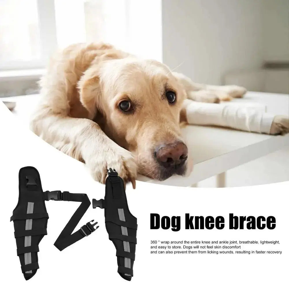 AnniePaw Comfort Care Leg Brace for Dogs - Joint Support & Mobility Aid