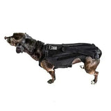 AnniePaw HealPro Dogs Comfort-Back Brace: Quality IVDD Support
