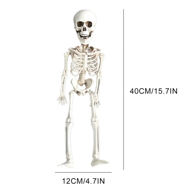 Skull Skeleton Horror Tombstone Halloween