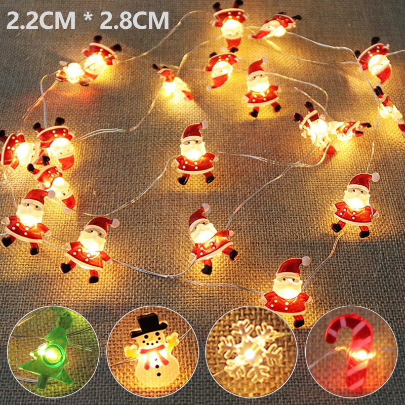 Holiday Lights