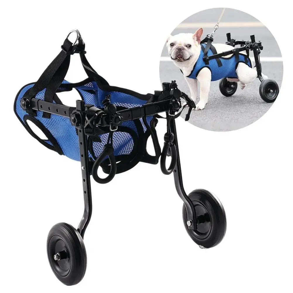 AnniePaw Dog Wheelchair for Hind Legs - Mobility Support for Small & Medium Dogs