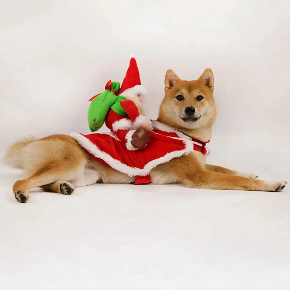 Anniepaw Santa Claus Riding Dog Costume: Christmas & Halloween Pet Outfit