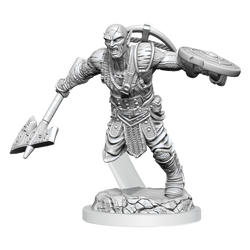 D&D: Nolzur's Marvelous Miniatures - Earth Genasi Fighter