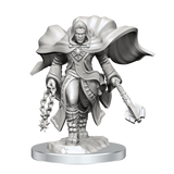 D&D: Nolzur's Marvelous Miniatures - Aasimar Cleric Male