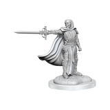 D&D: Nolzur's Marvelous Miniatures - Death Knights