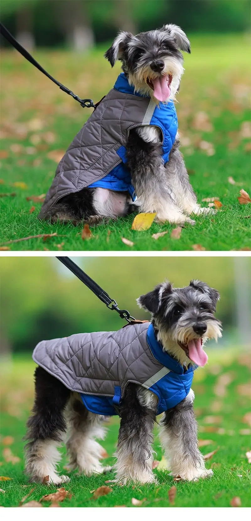 Anniepaw Waterproof Winter Dog Vest Jacket for Small to Large Dogs Warm Padded Coat for French Bulldog