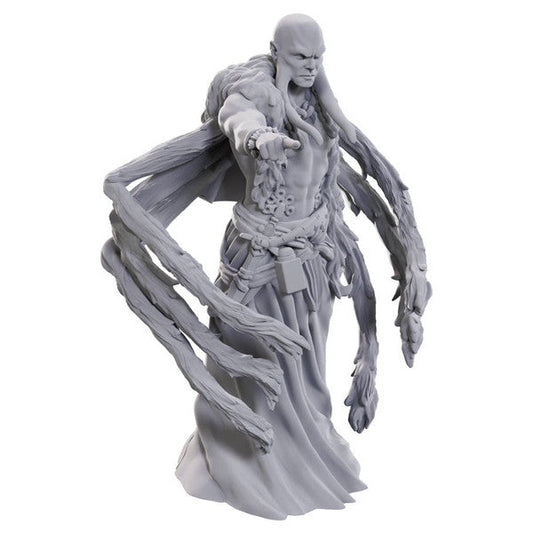 D&D: Nolzur's Marvelous Miniatures - Kraken Priest