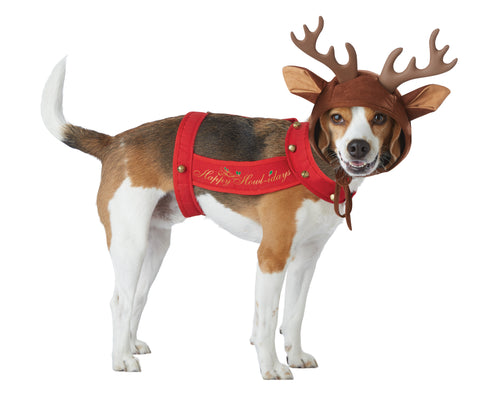 Reindeer Dog Pet Costume