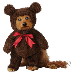 Teddy Bear Dog Pet Costume